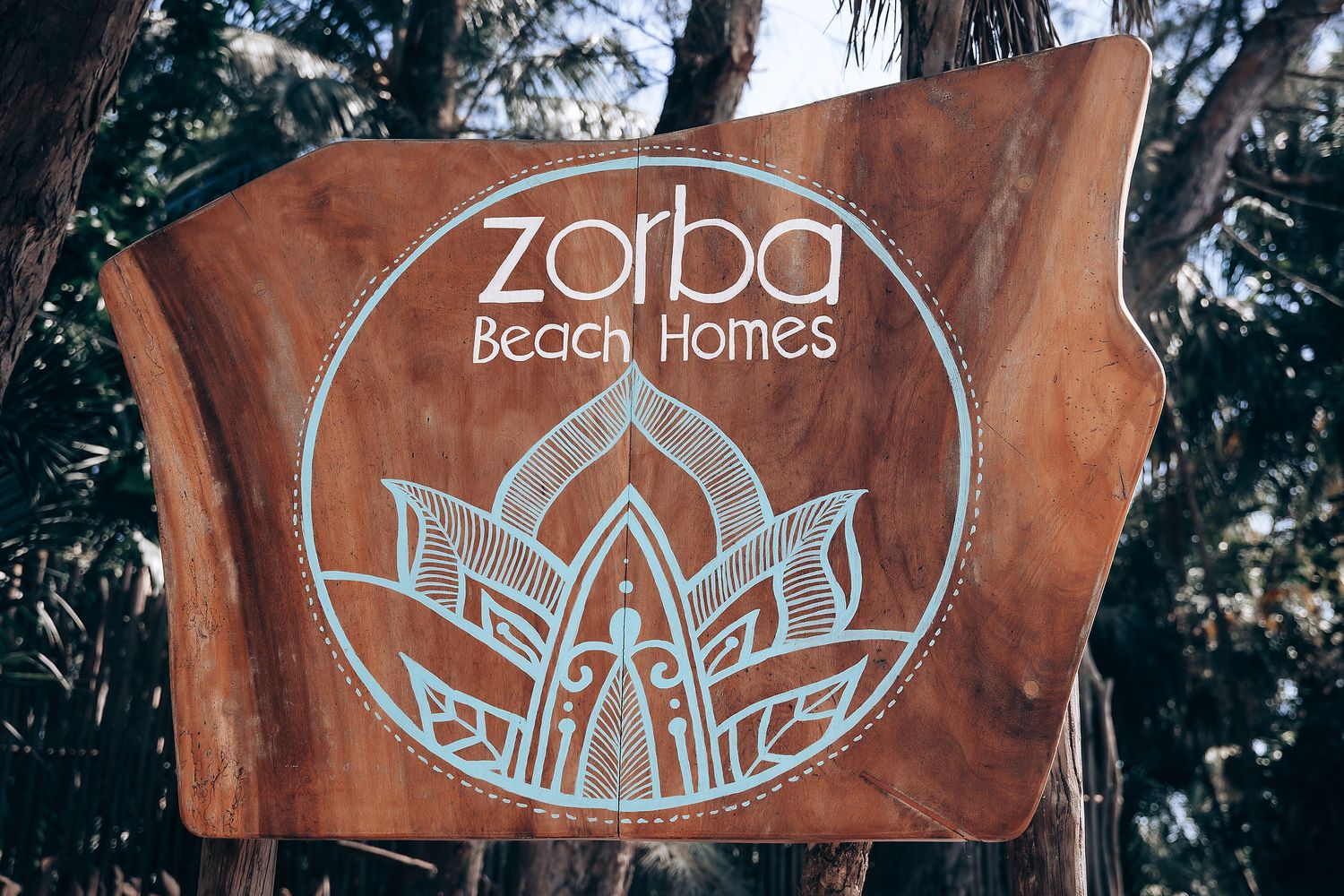Rustic wooden signs with carved designs displayed along a wooded path with palm trees in the background.
