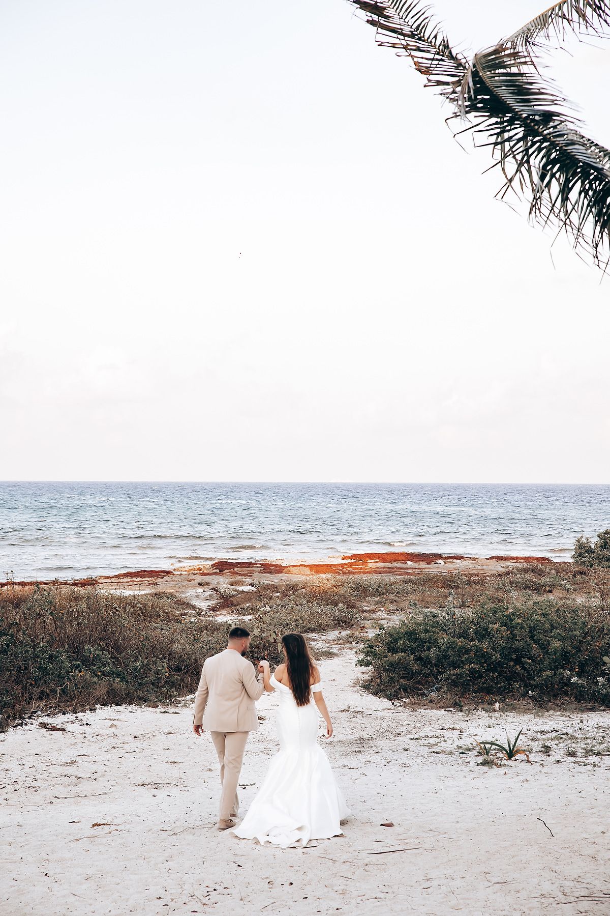 A couple in wedding attire walks along a scenic beach with palm trees and ocean views in the background.