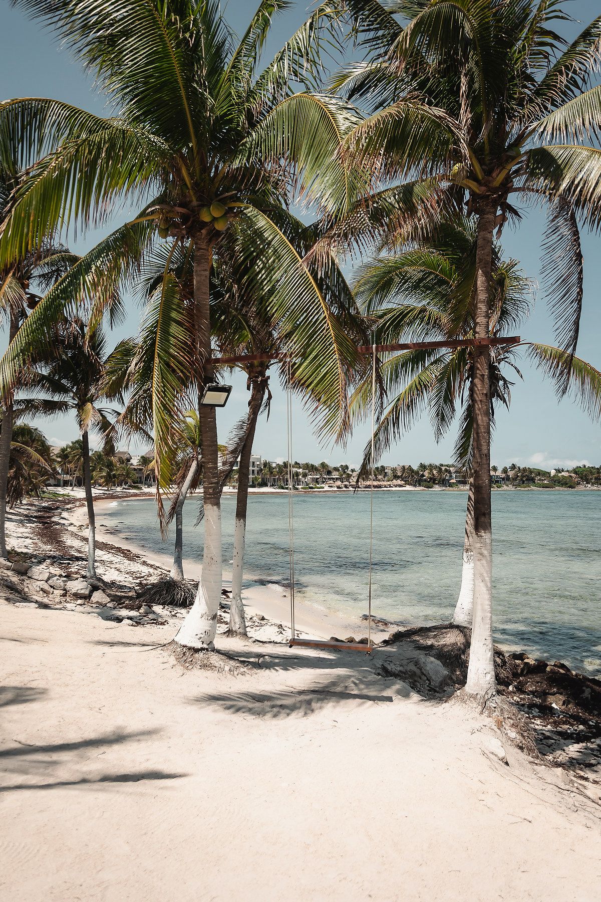 Tropical beach with white sand, palm trees, and calm turquoise water on a sunny day.