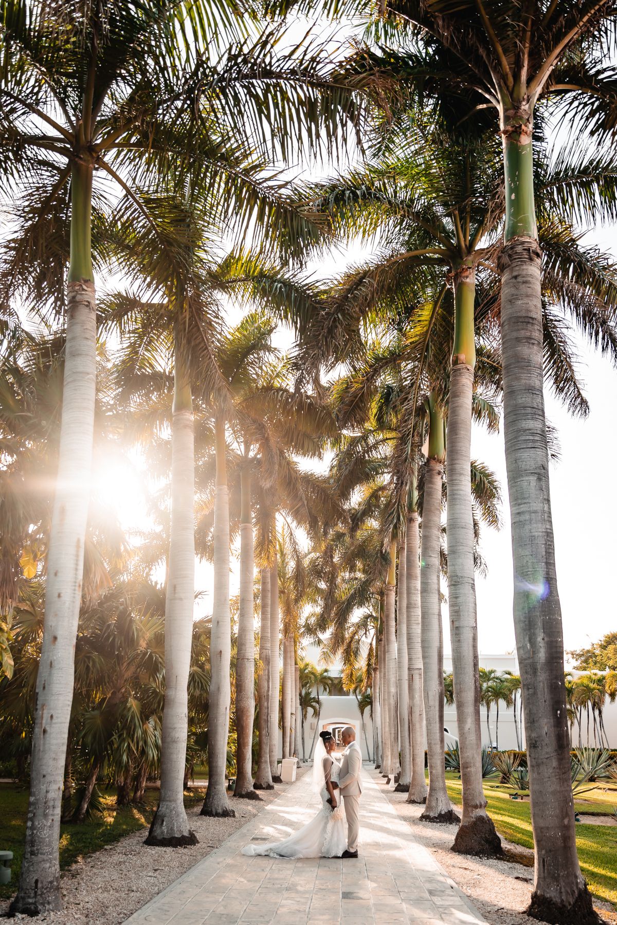 Bride and groom kissing along a sunlit palm tree lined path at a tropical wedding venue.