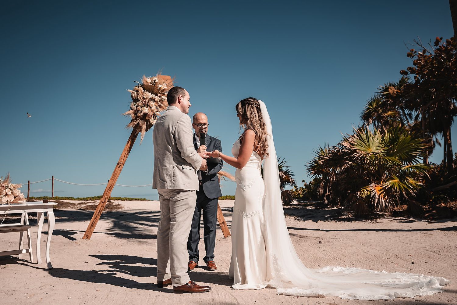 Intimate beach wedding ceremony under palm trees with guests gathered on sandy shore.