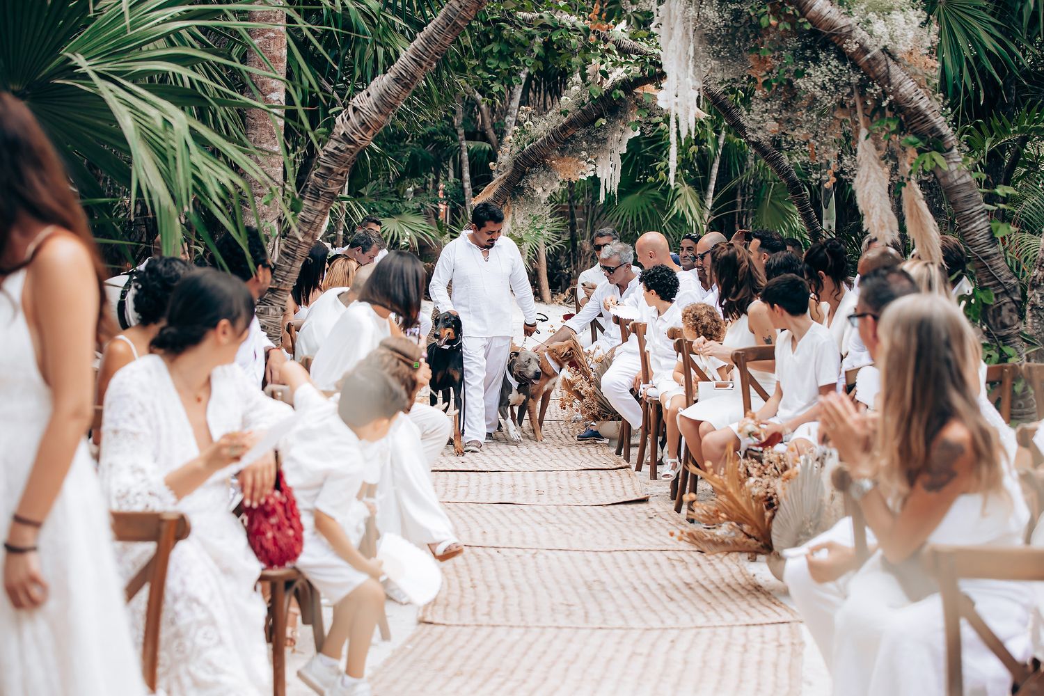 Panoramic view of wedding guests dressed in white seated at an outdoor tropical venue.