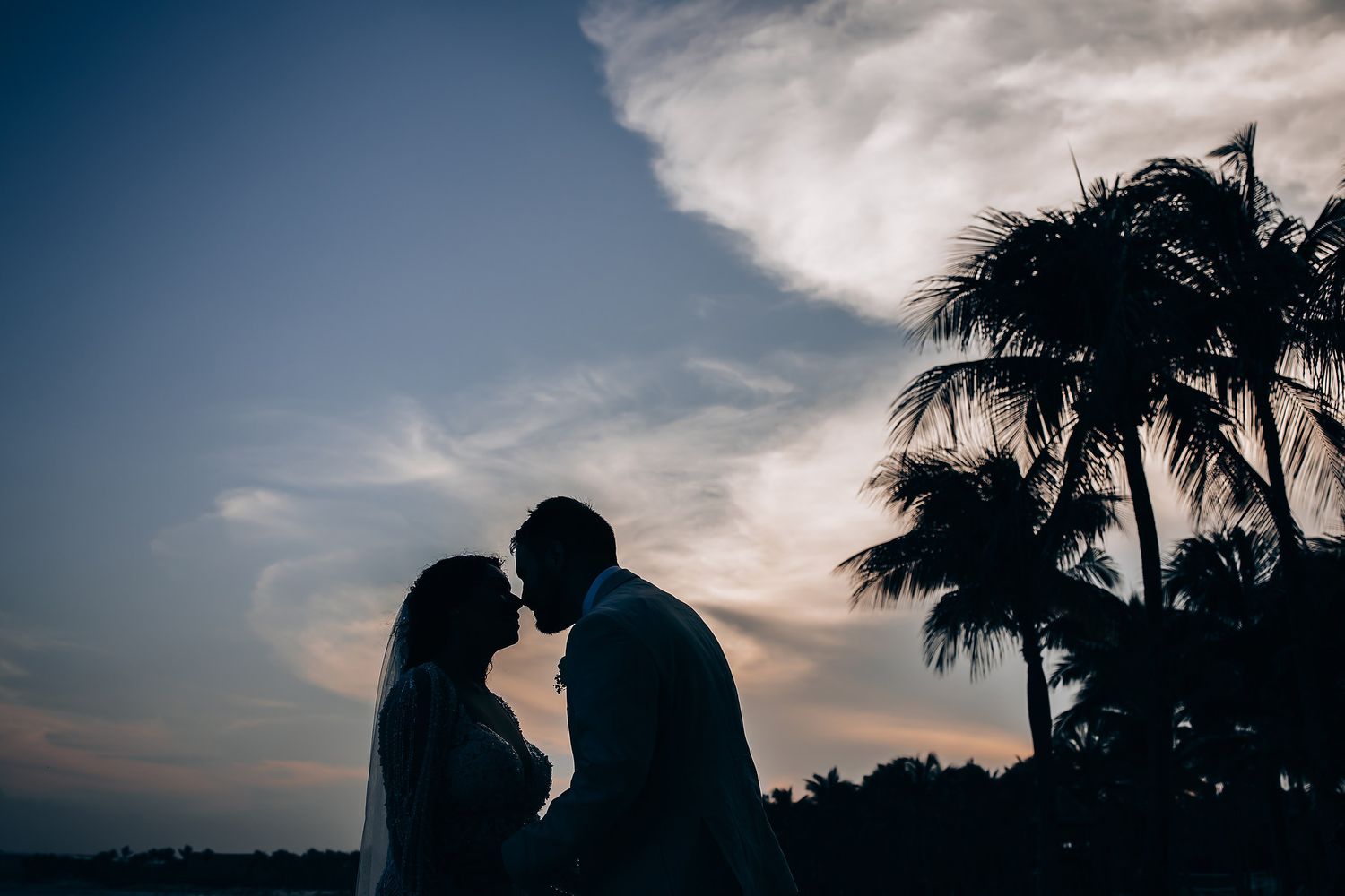 Silhouetted figures against a dramatic cloudy sky with palm trees at dusk.
