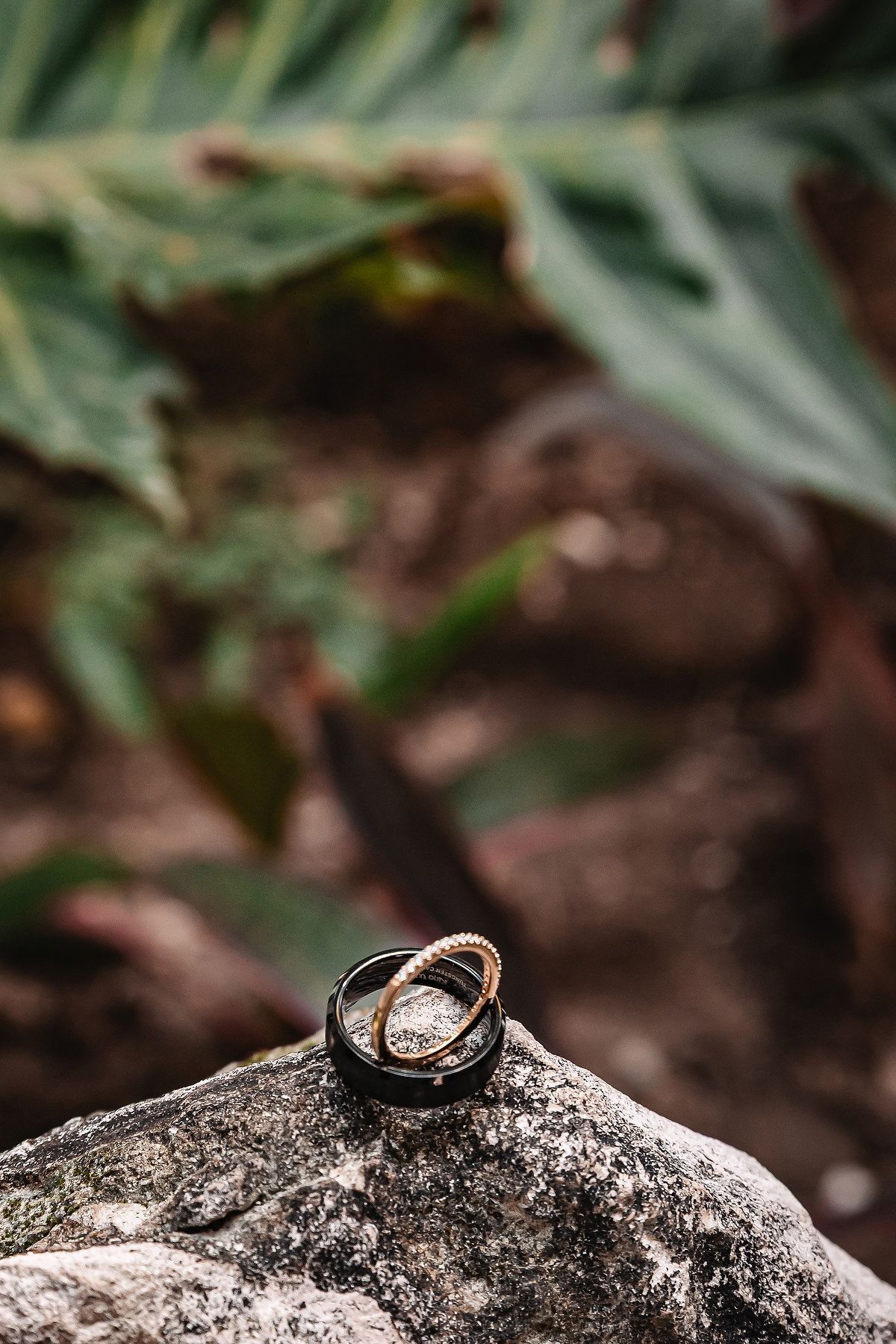 Two wedding rings, one black and one gold, resting on a mossy rock with green tropical leaves in the background.