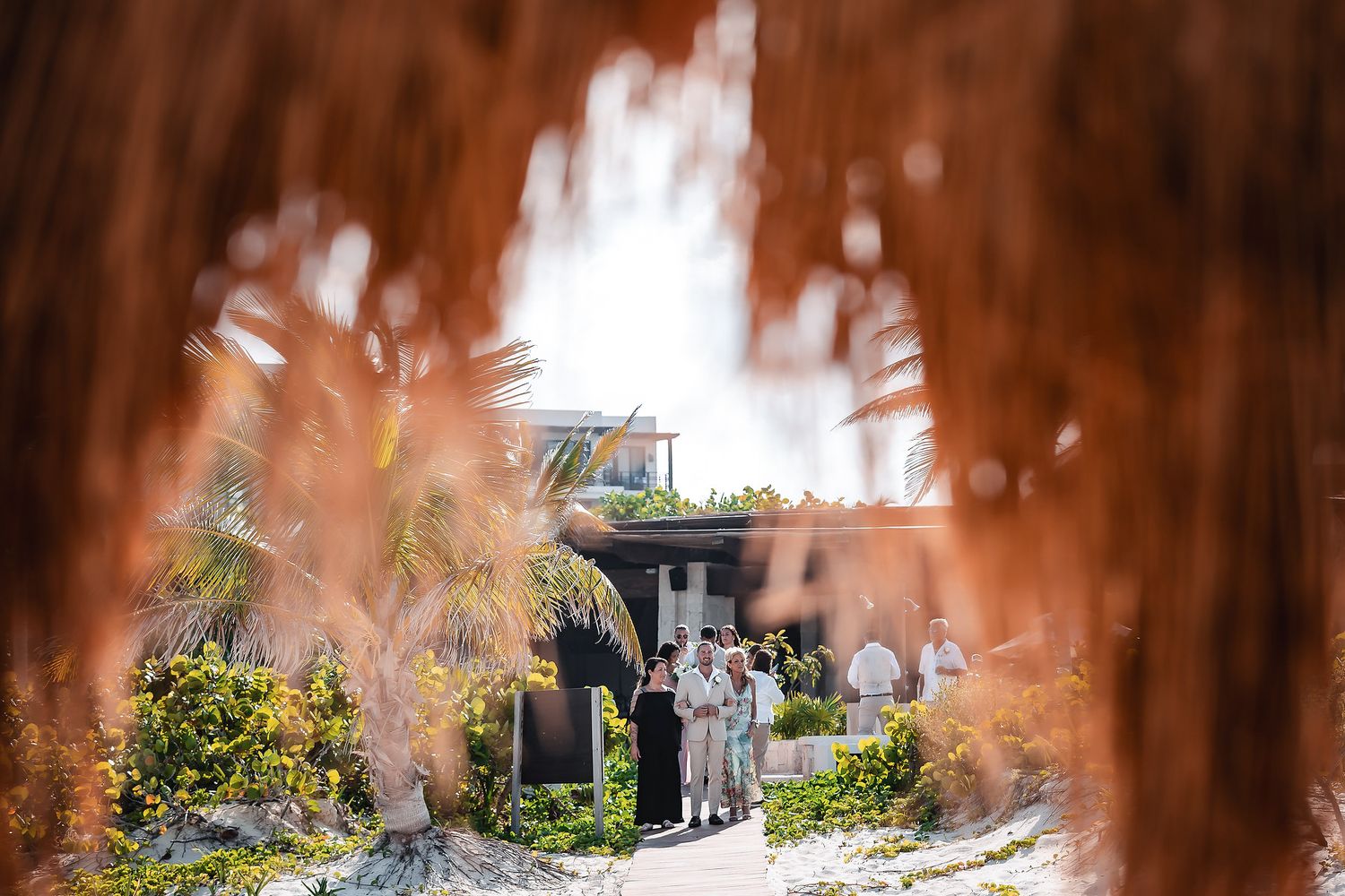 Outdoor wedding ceremony viewed through tropical foliage, guests in white attire gathered near a beachside venue.
