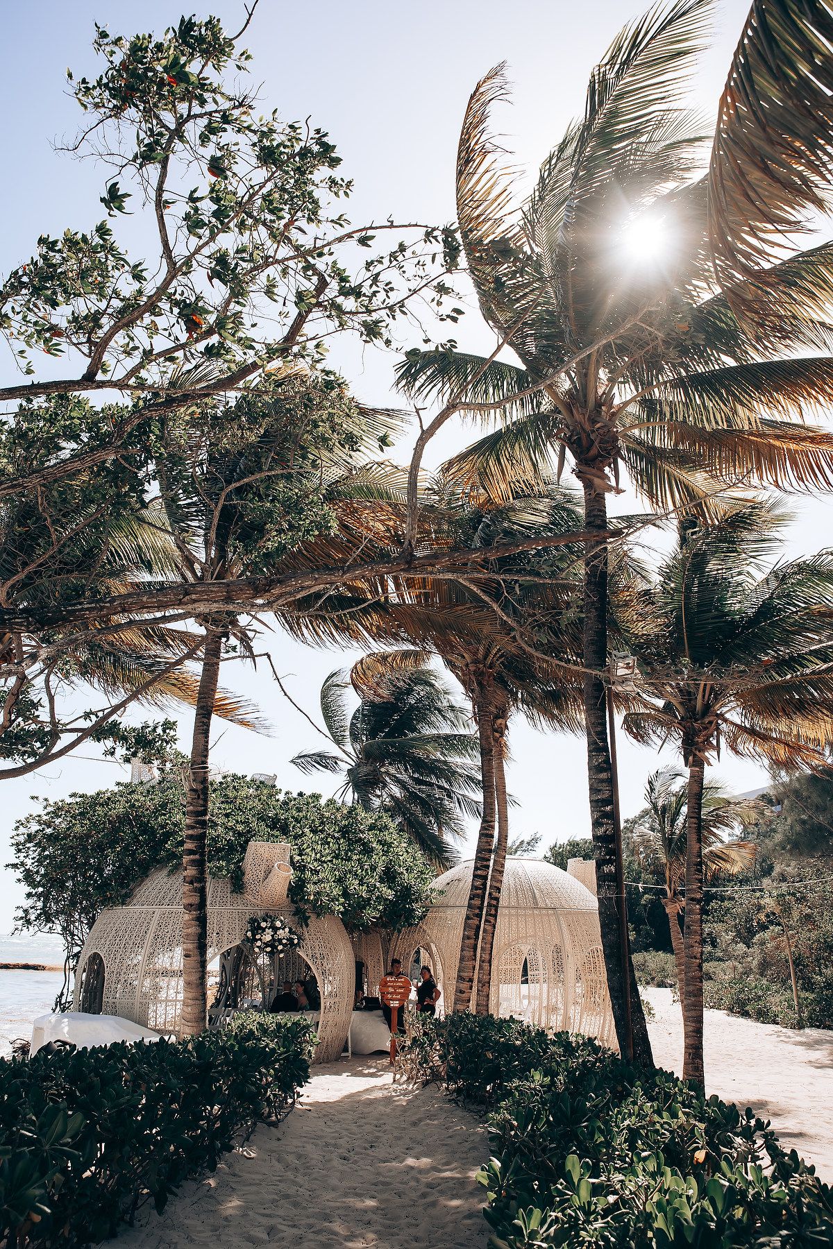 Palm trees sway against a bright sky at a tropical beach wedding venue.