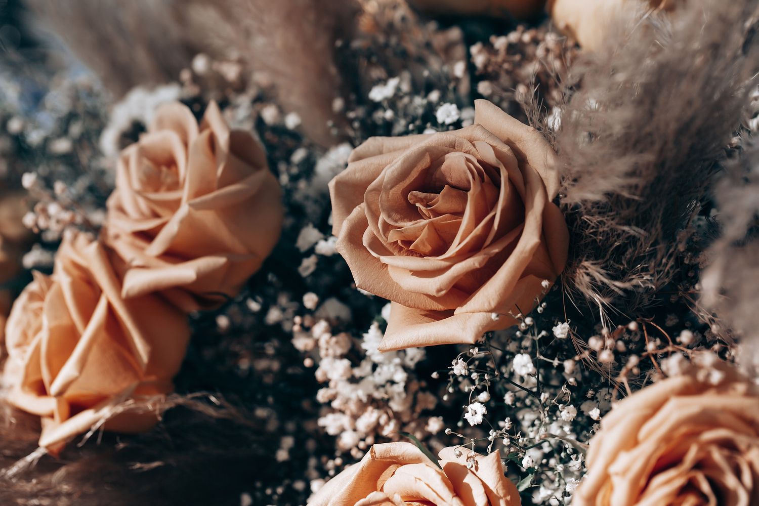 Peach-colored roses with delicate baby's breath flowers arranged on a dark background.