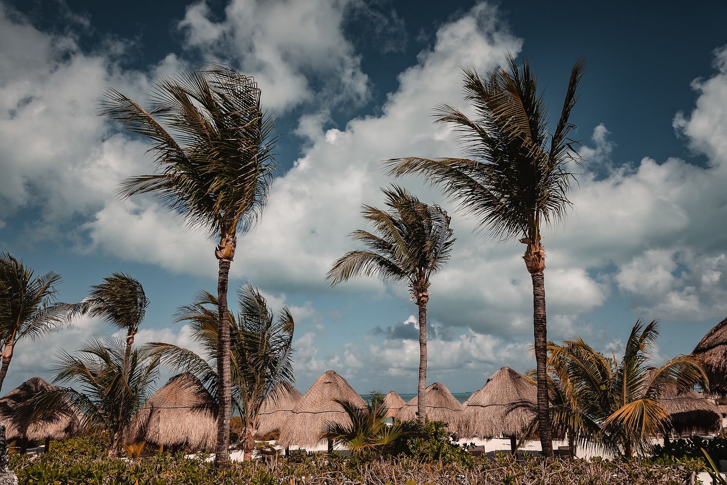 Palm trees swaying in the wind over thatched huts on a tropical beach under a dramatic cloudy sky.