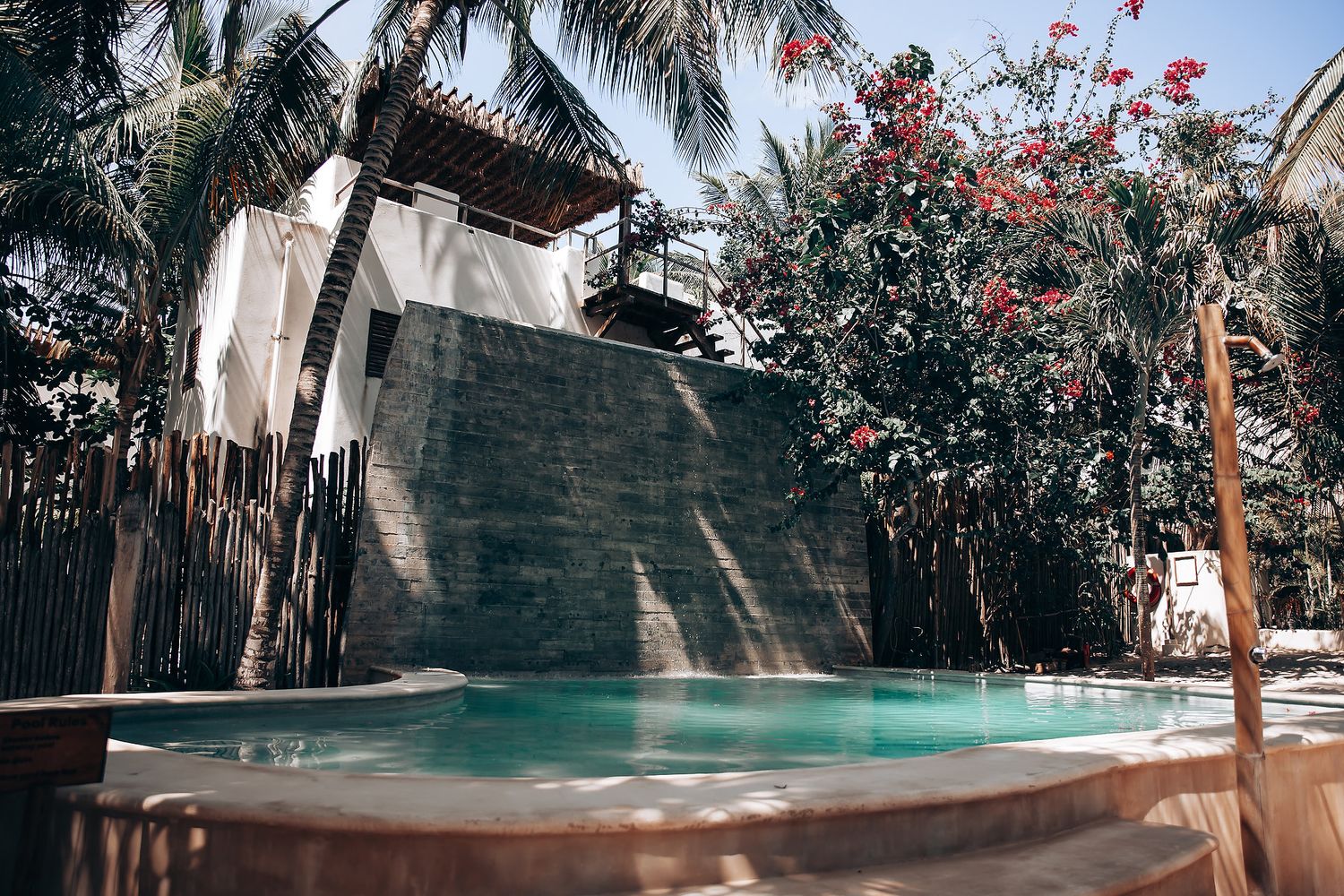 Tropical resort pool surrounded by palm trees and red flowering plants with sunlit lounge chairs along the edge.