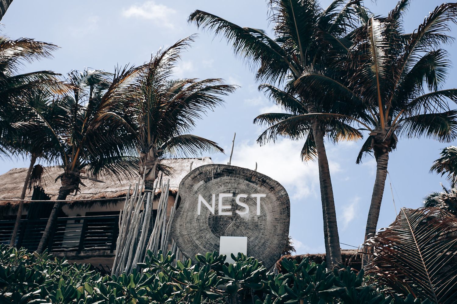 Palm trees sway in the wind against a cloudy sky at a tropical beach destination.