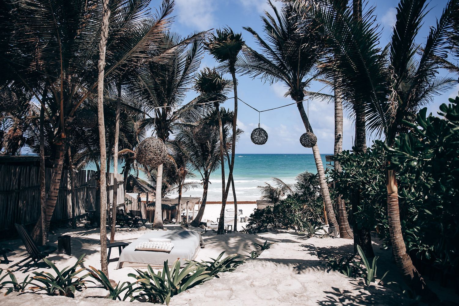 Tropical beach landscape with palm trees and white sand stretching along turquoise waters.