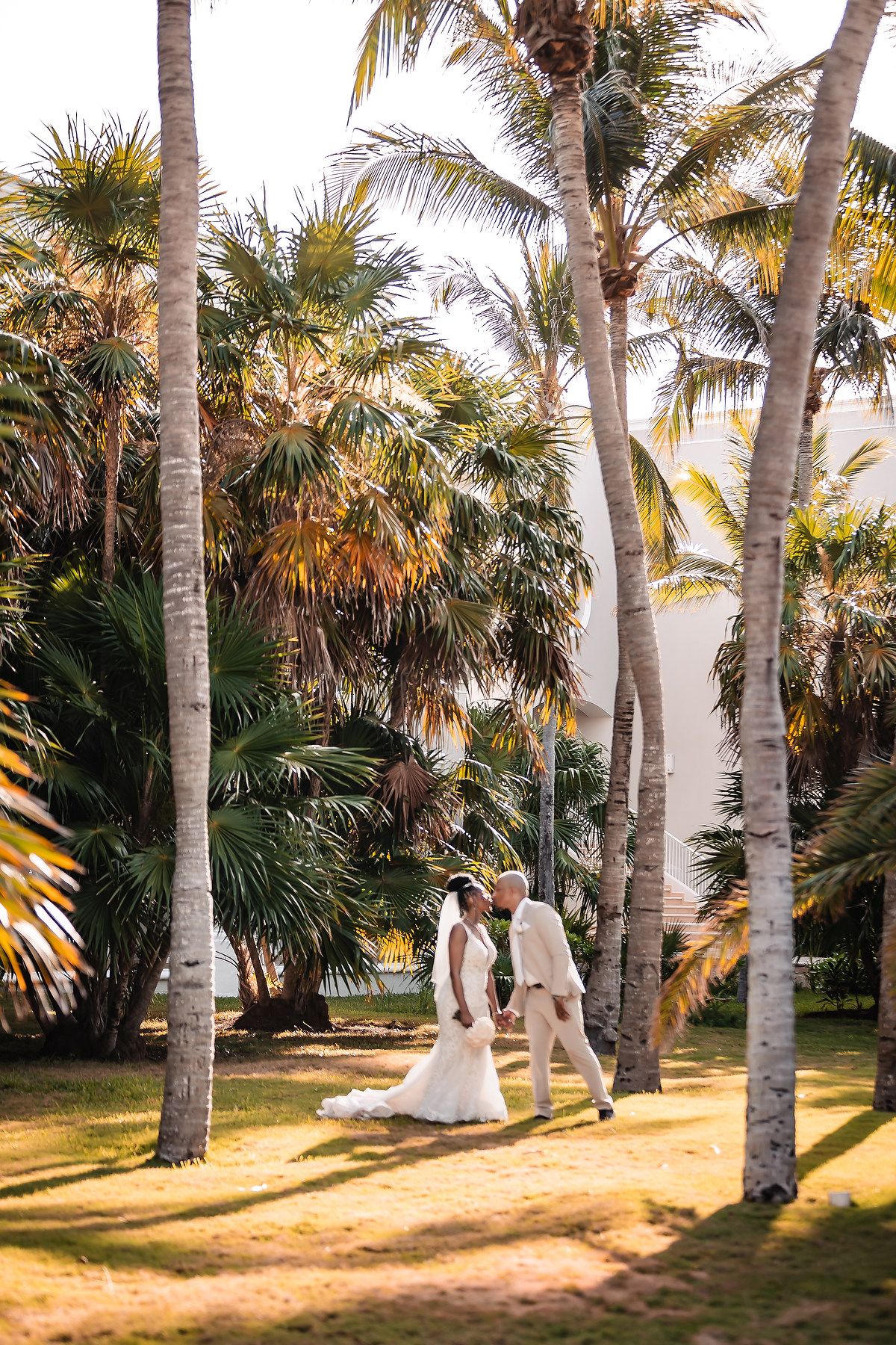 A couple strolls hand in hand through a palm-lined garden path during golden hour.