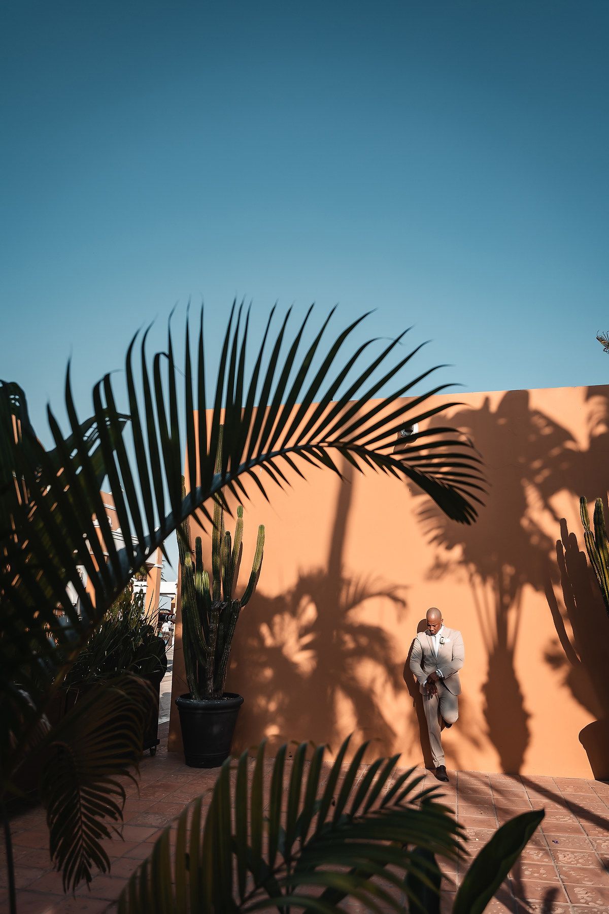 Palm tree silhouettes create striking shadows on a peach wall during a sunny day.