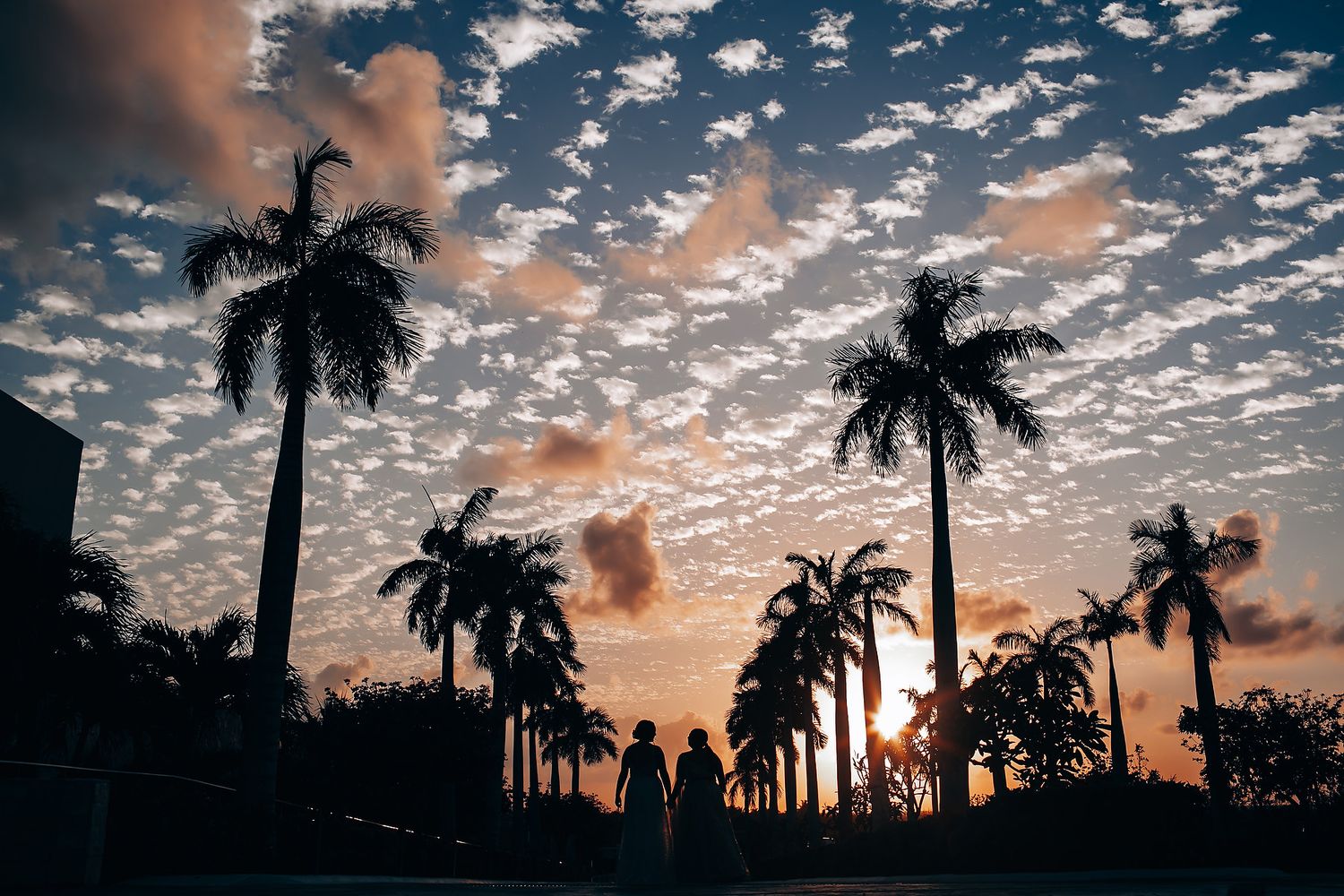 Palm trees silhouetted against a cloudy sunset sky with vibrant orange and blue colors.