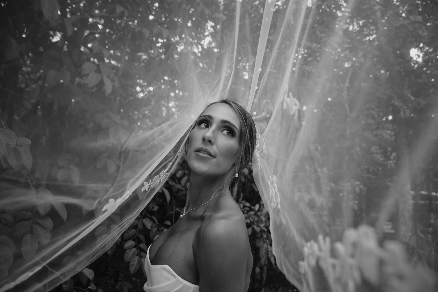 Black and white bridal portrait of a bride under a flowing veil surrounded by lush greenery.
