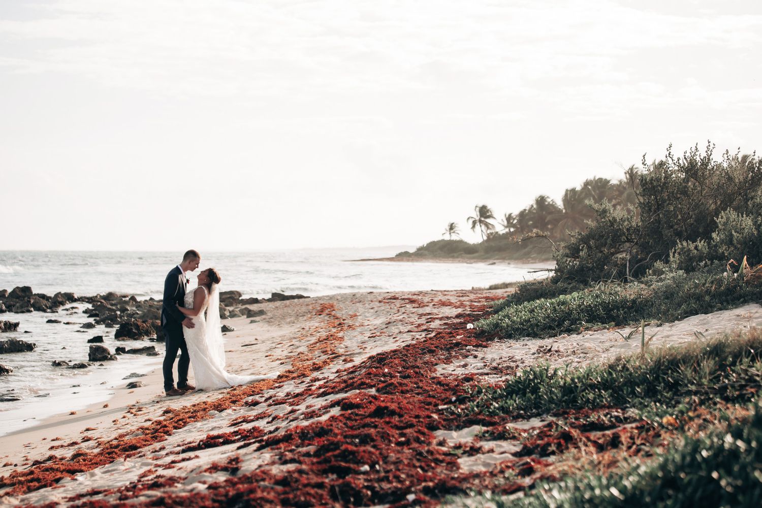 Bride and groom share a romantic kiss on a scenic beach with red seaweed and ocean views behind them.