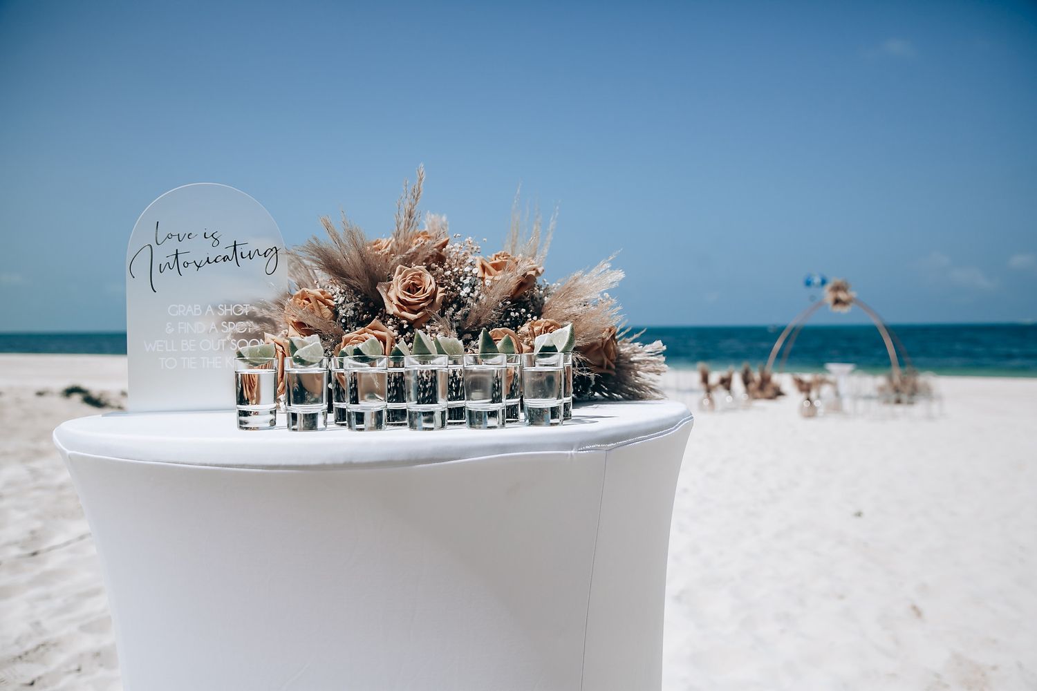 Panoramic view of beach cabanas and palm trees along a pristine white sandy shoreline.