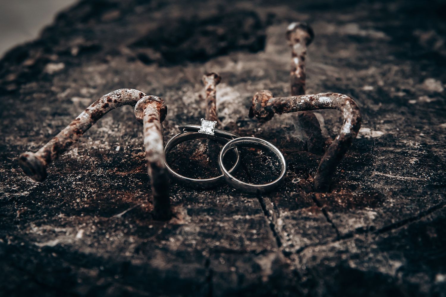 Wedding rings photographed on a dark rocky surface with dramatic lighting and texture.