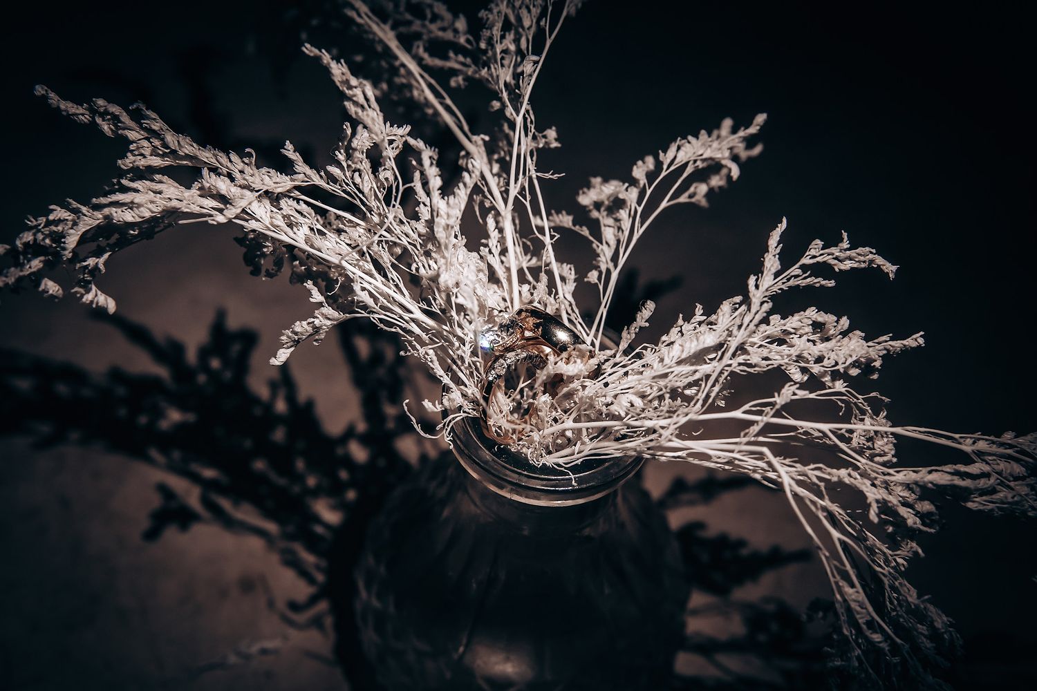 Abstract black and white close-up of dried branches creating an artistic pattern.