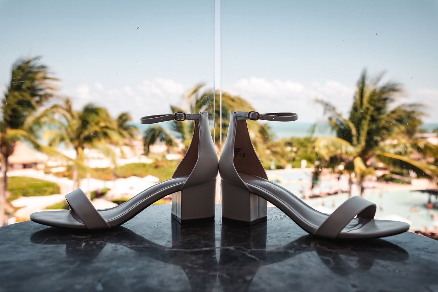 Wedding rings artistically arranged with palm trees and ocean in background.