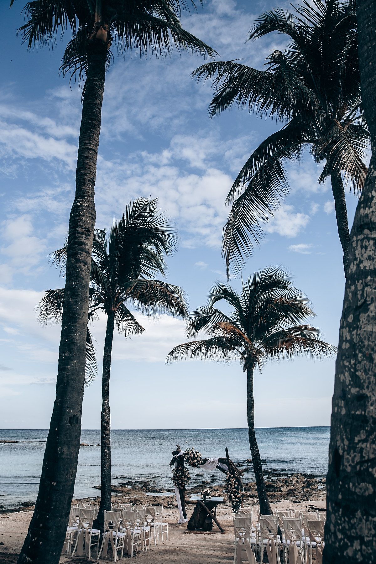 Tropical beach wedding venue with palm trees and white chairs arranged along the oceanfront.