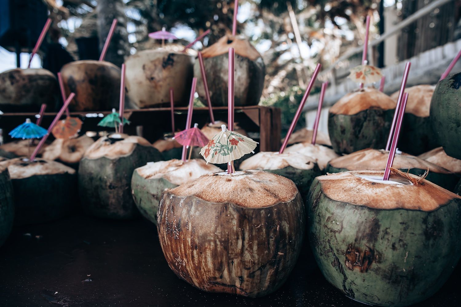 Fresh coconuts with straws arranged on a rustic wooden surface at a tropical beach bar.