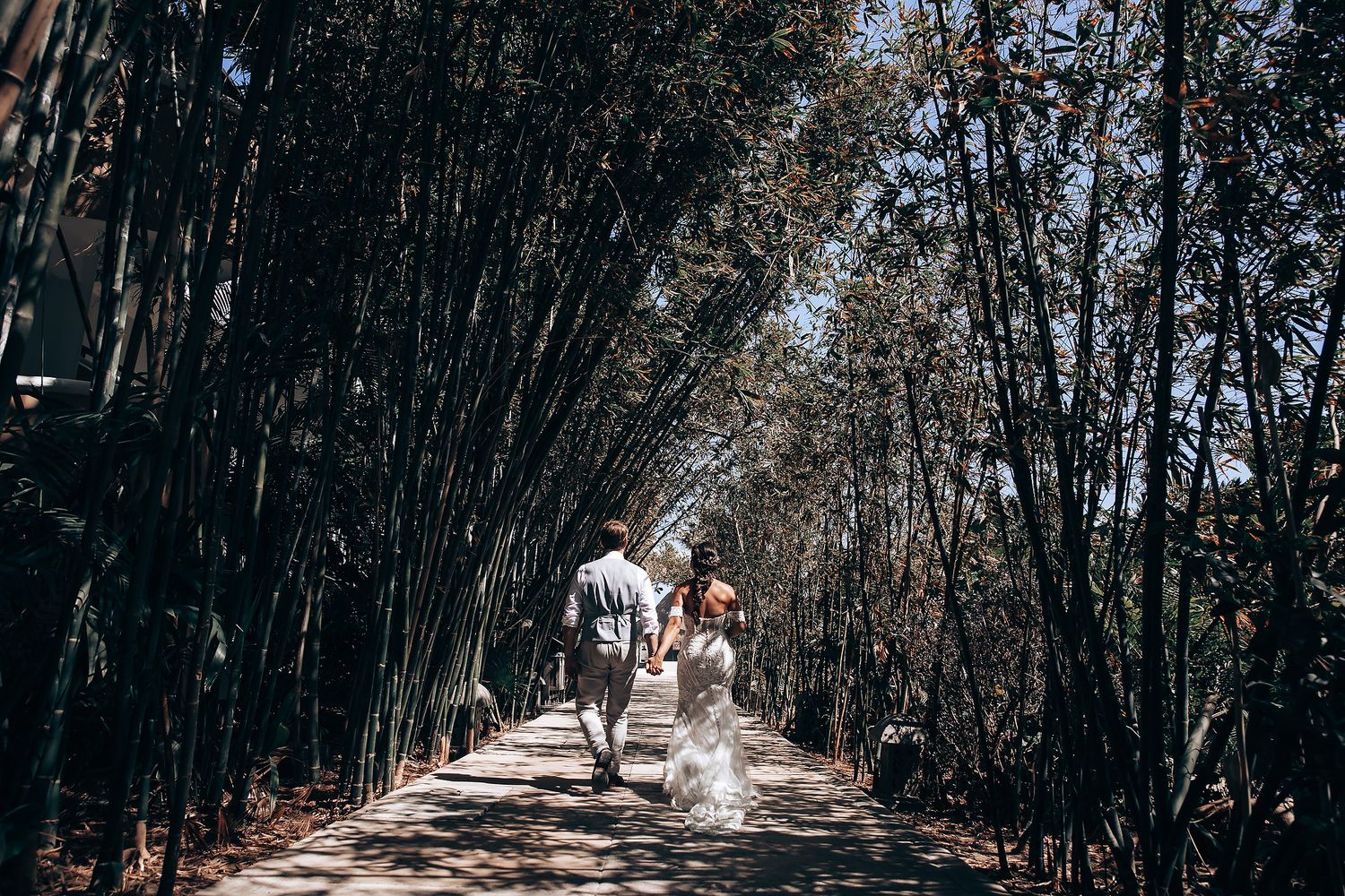Tree-lined pathway creates a natural tunnel for an outdoor wedding ceremony.