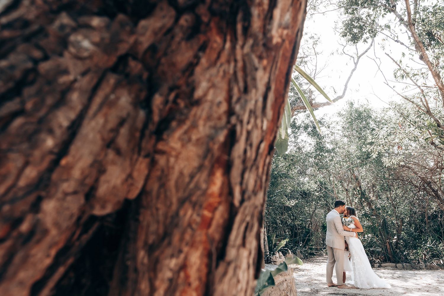 Rustic woodland wedding setting with tall trees creating natural cathedral effect.