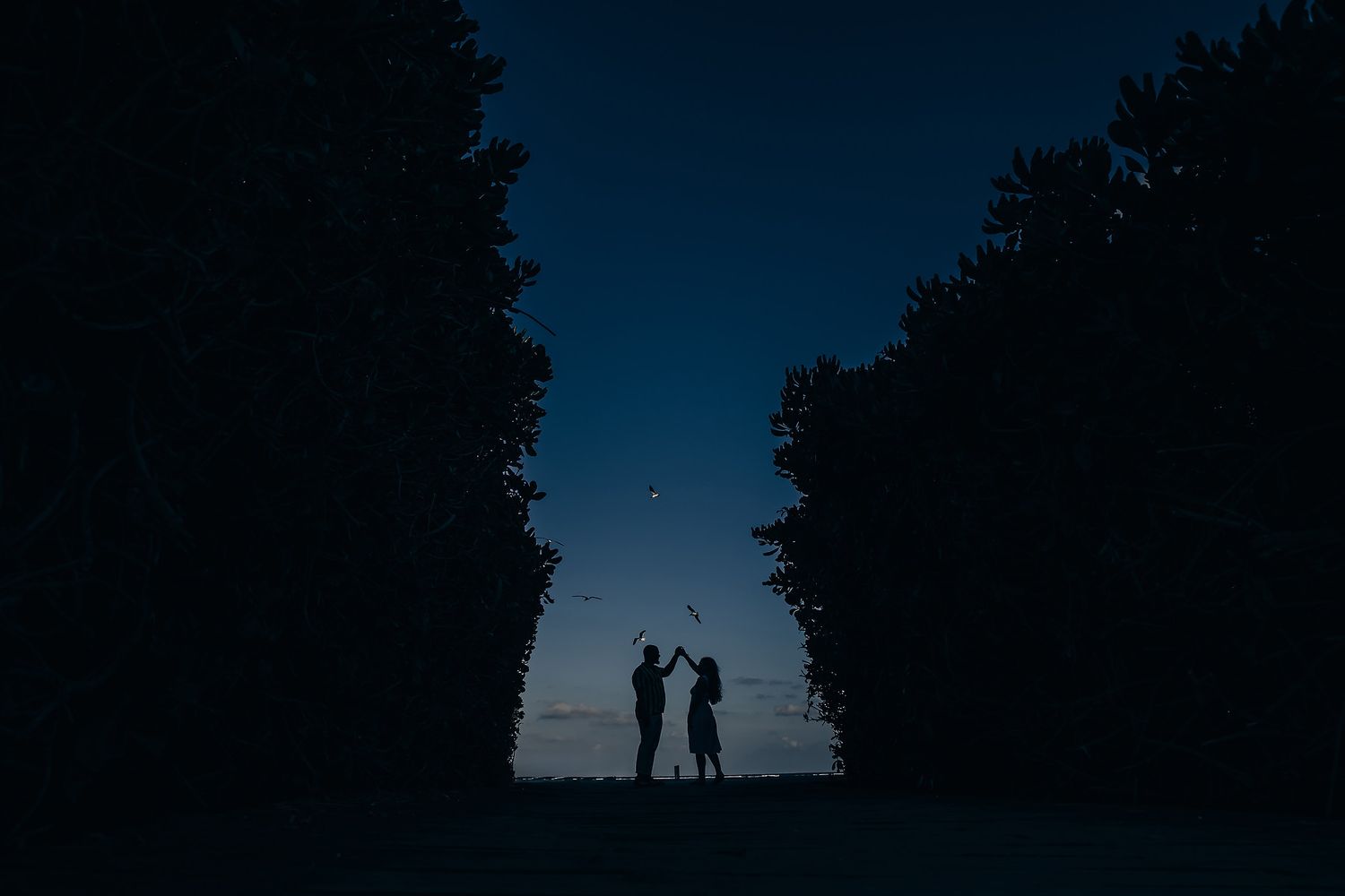 Romantic silhouette of a couple standing together under a starry night sky between trees.