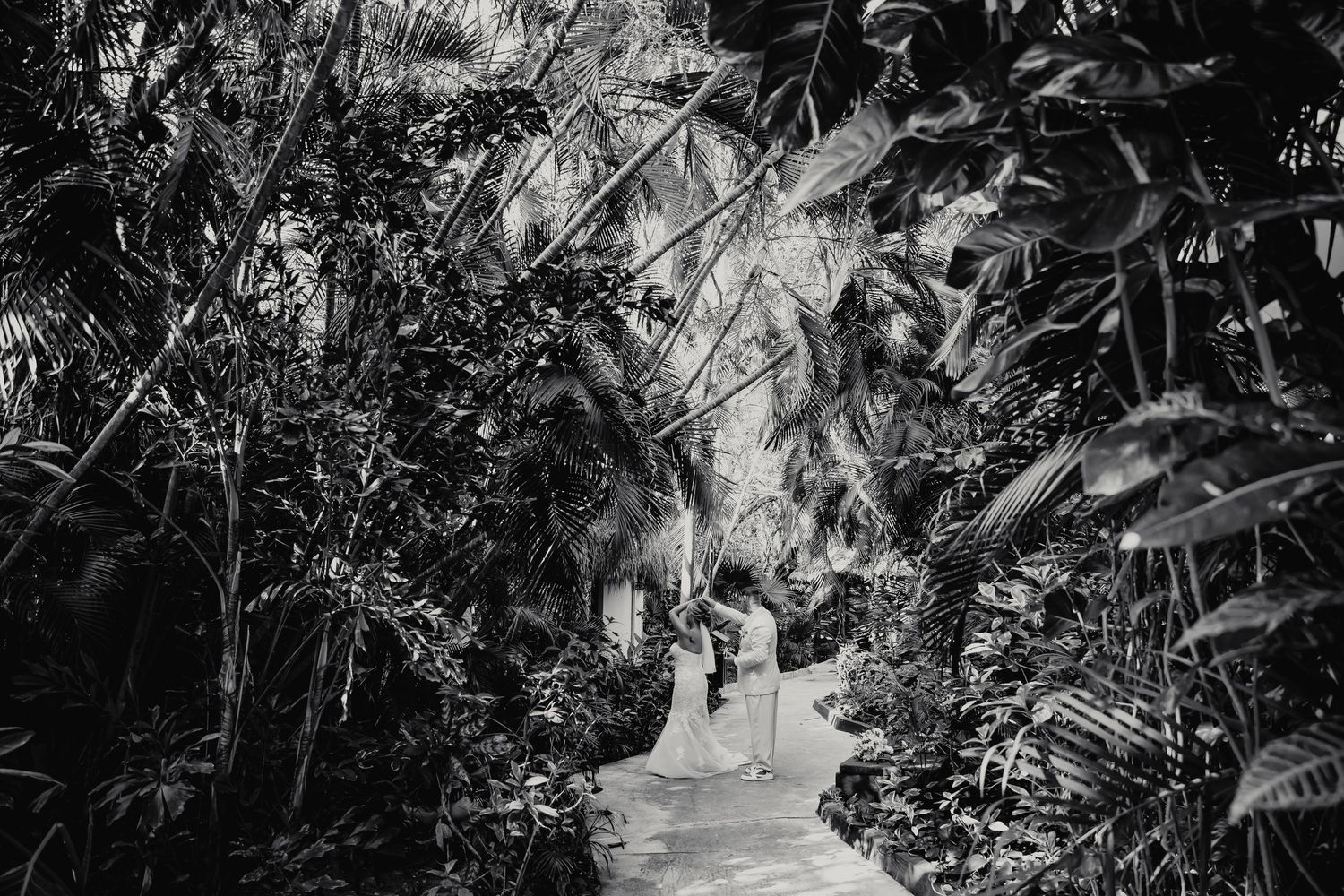Black and white photo of bride and groom walking through lush tropical garden pathway.