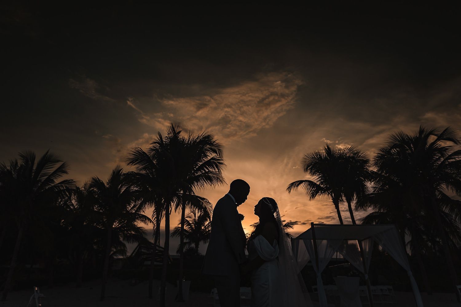 Dramatic silhouette of palm trees against a dark evening sky.