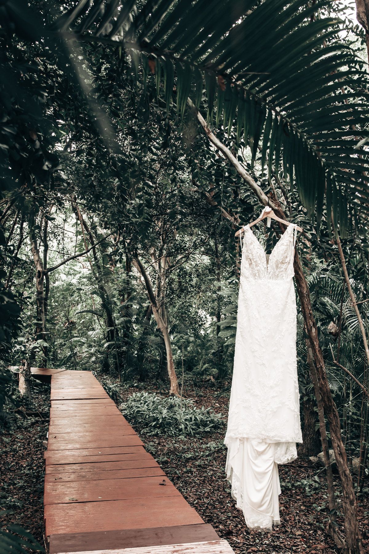 White lace wedding dress hanging on a tropical tree branch over a wooden boardwalk path in a lush green forest.