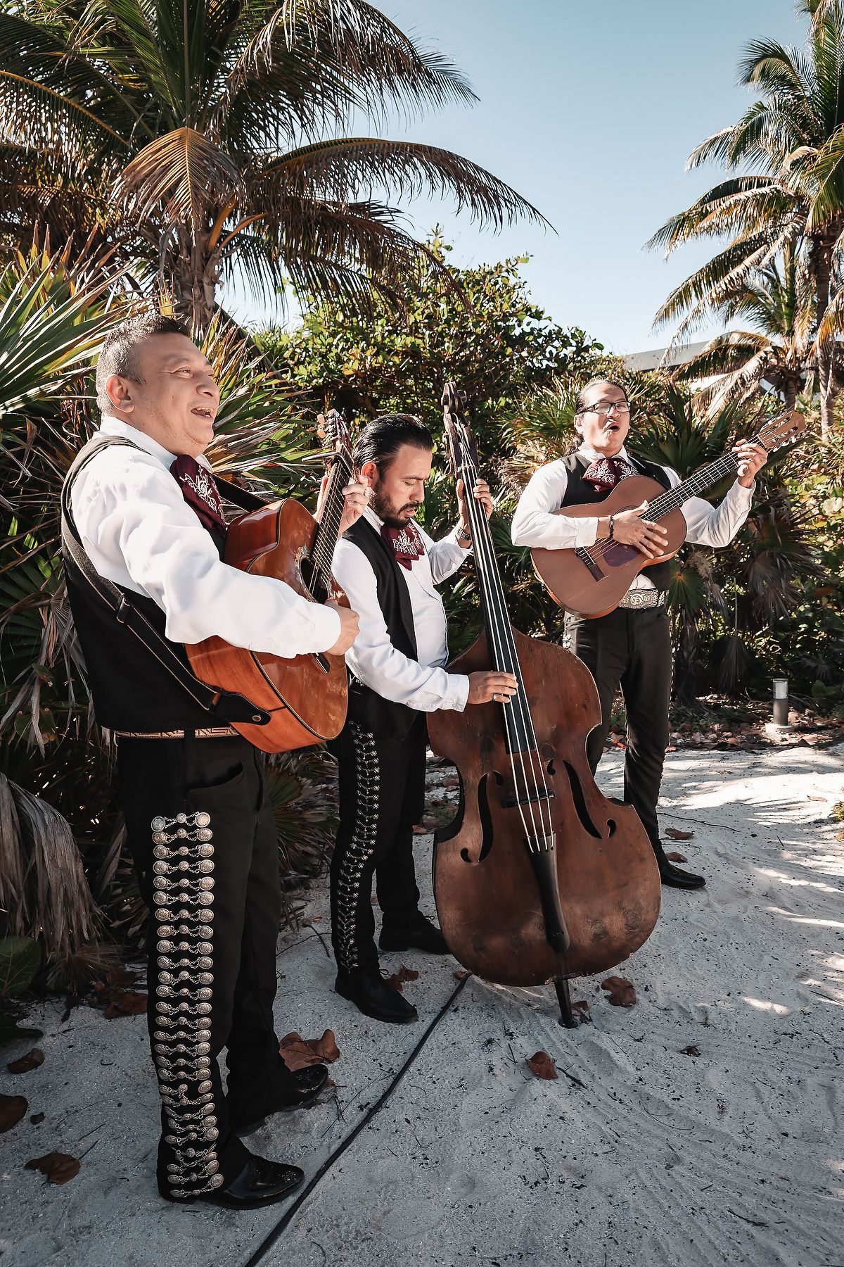 Mariachi band playing guitar and bass outdoors among tropical palm trees on a sandy path.
