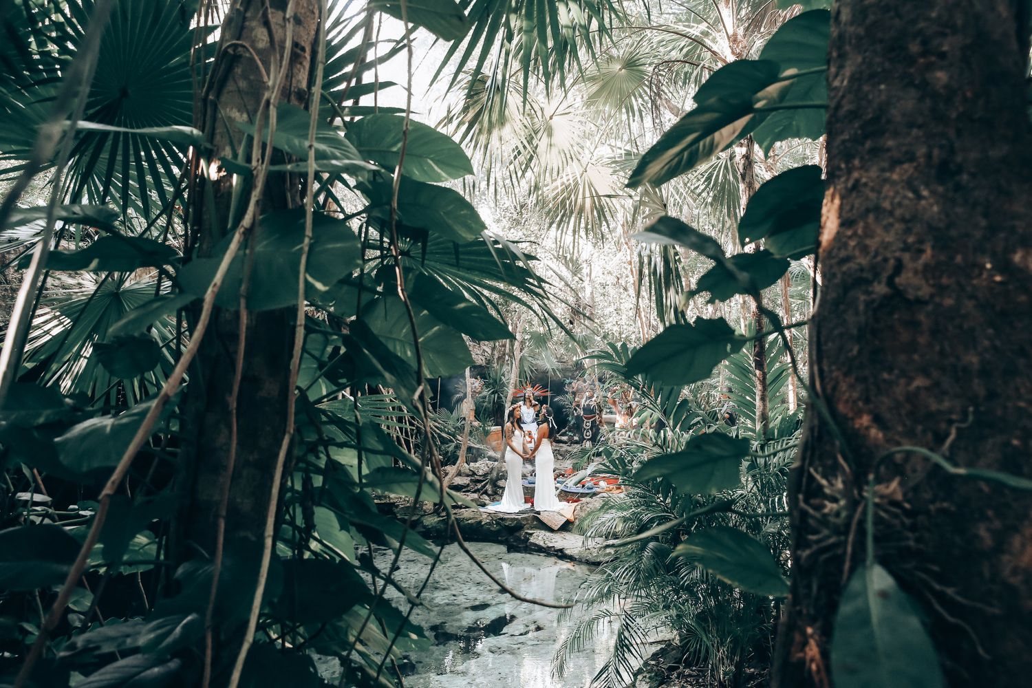 Lush tropical garden setting with palm trees and natural sunlight filtering through the foliage.