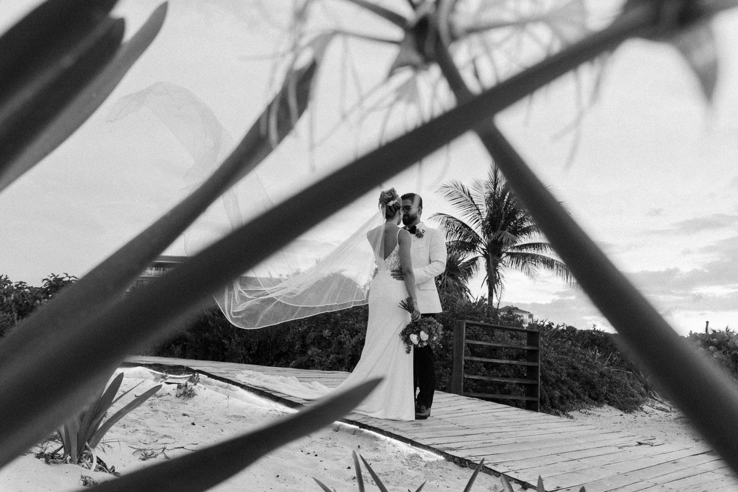 Black and white beach wedding photo of bride and groom kissing on boardwalk framed by tropical plants.