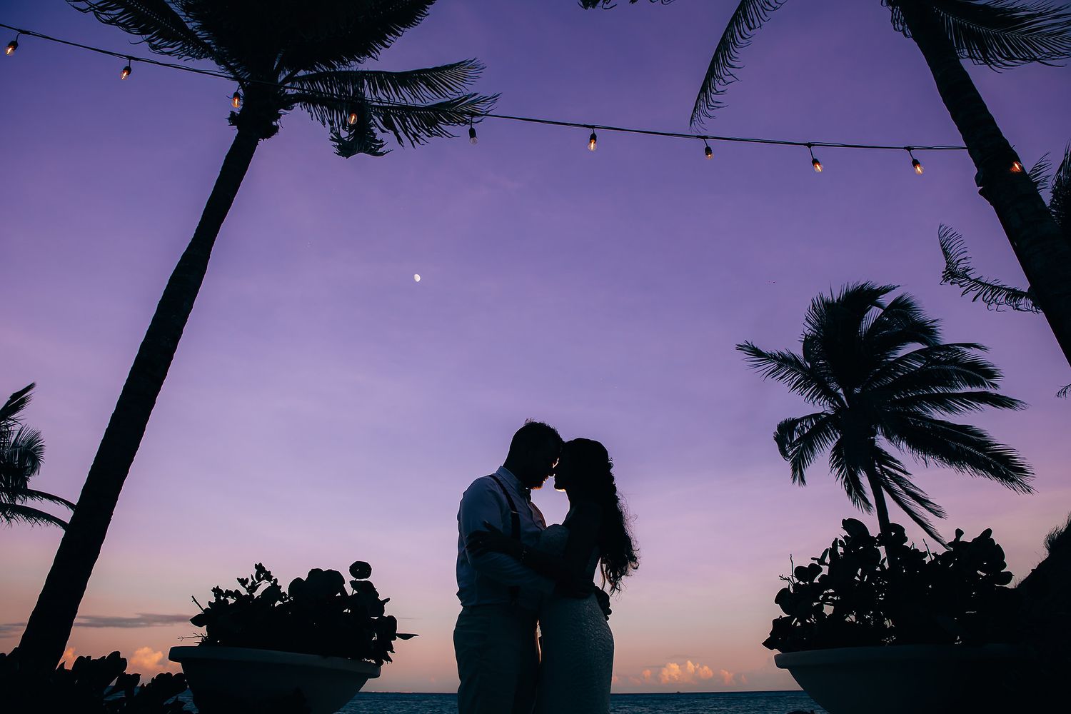 Romantic sunset silhouettes with palm trees and string lights at tropical wedding venue.