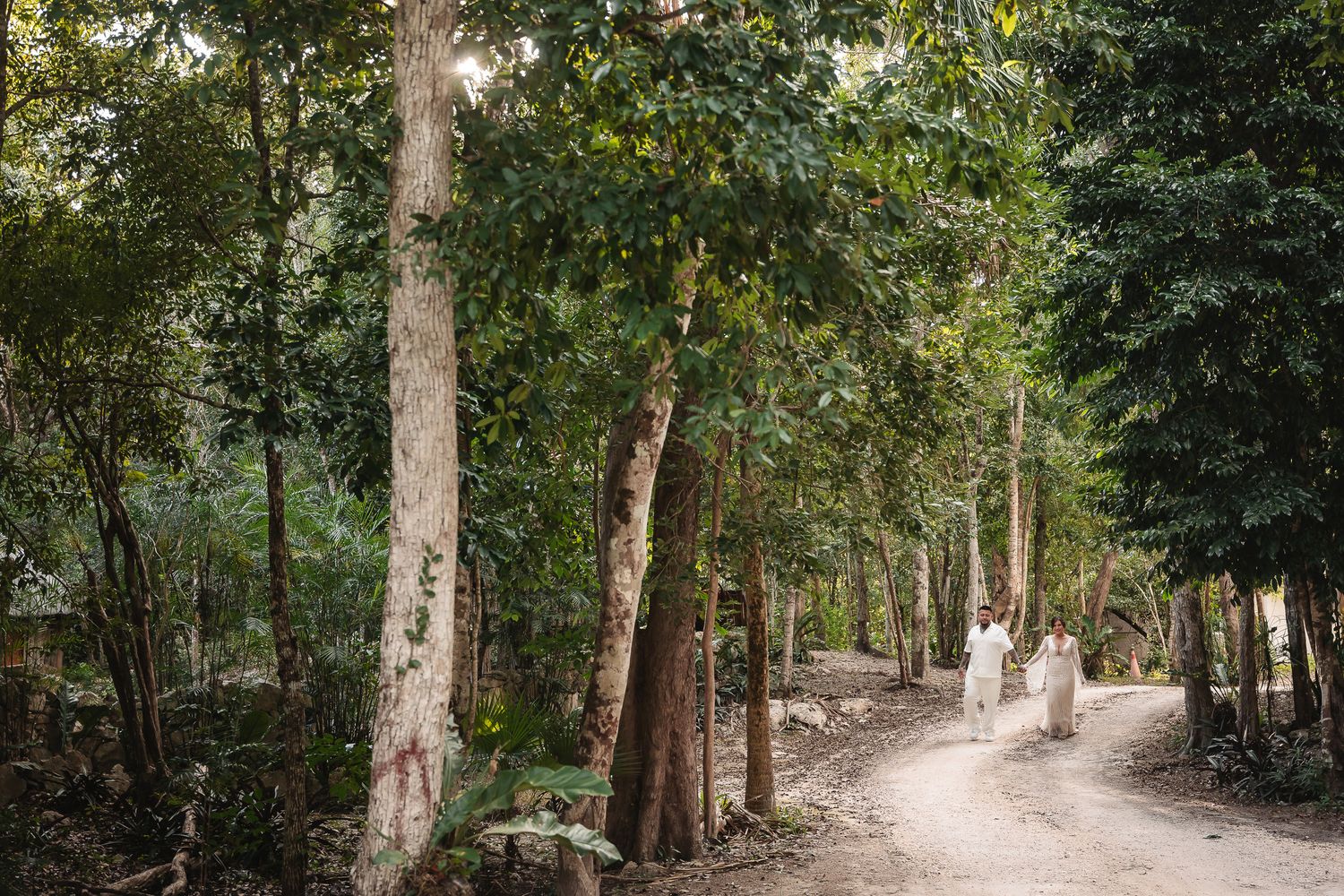 Tree-lined pathway in a lush forest setting perfect for romantic photography.