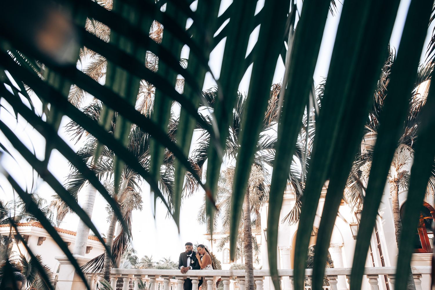 Palm fronds frame a romantic wedding scene with natural tropical ambiance.