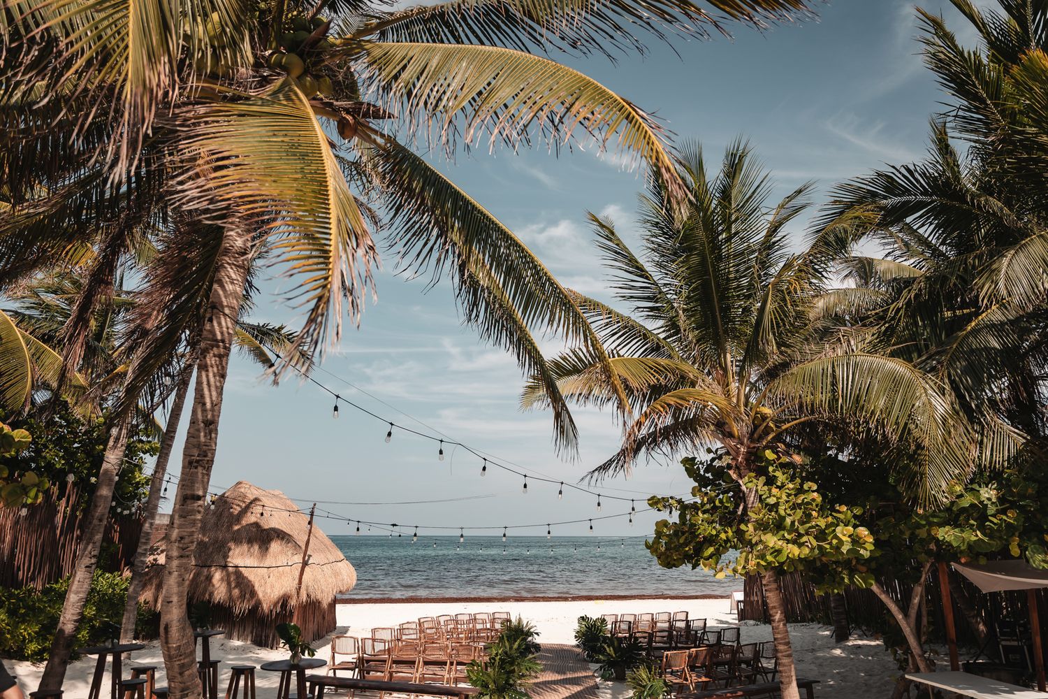 Tropical beach bar with palm trees, string lights, and ocean views under a clear blue sky.