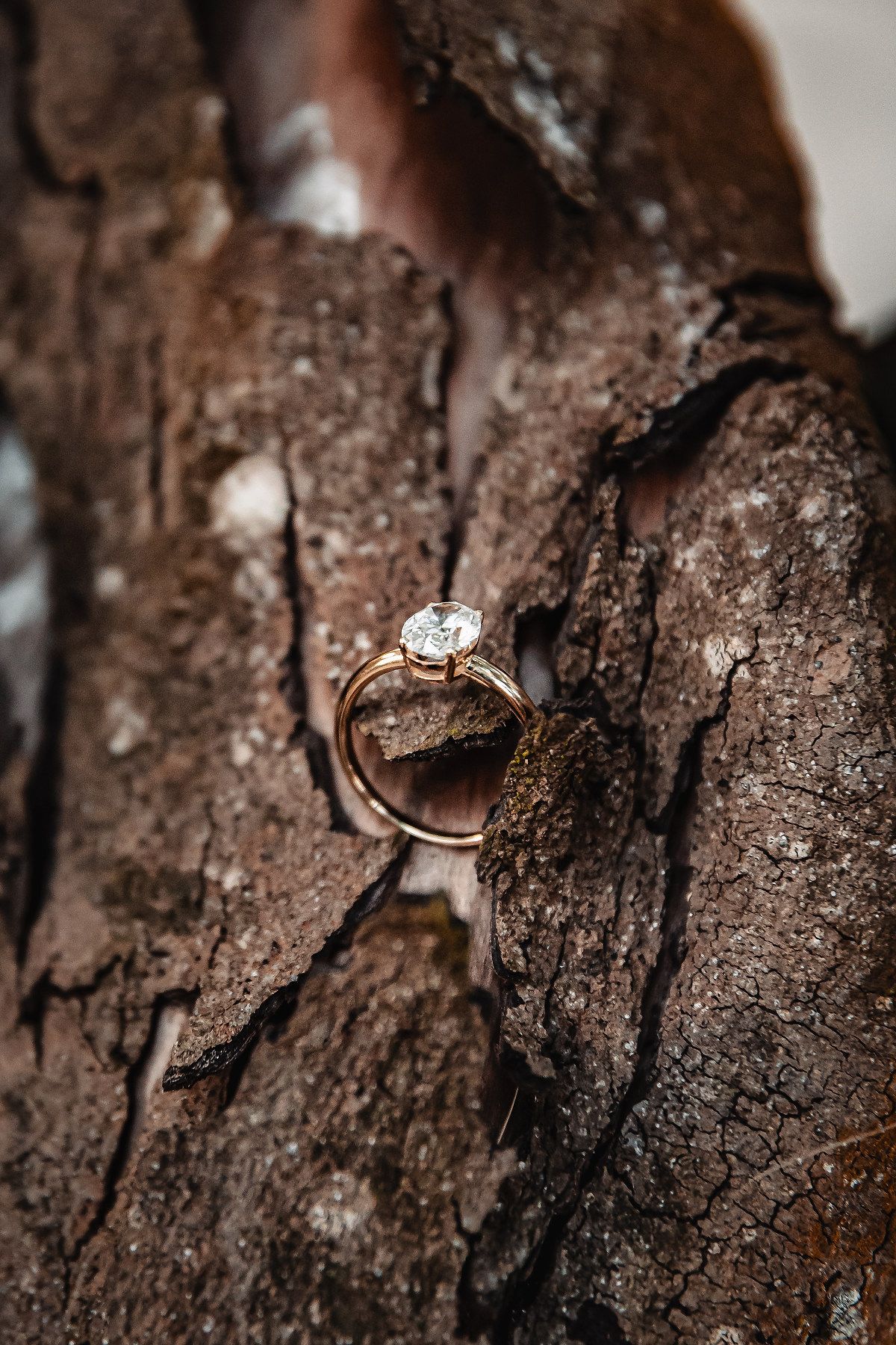 Diamond engagement ring nestled in tree bark texture with dramatic lighting.