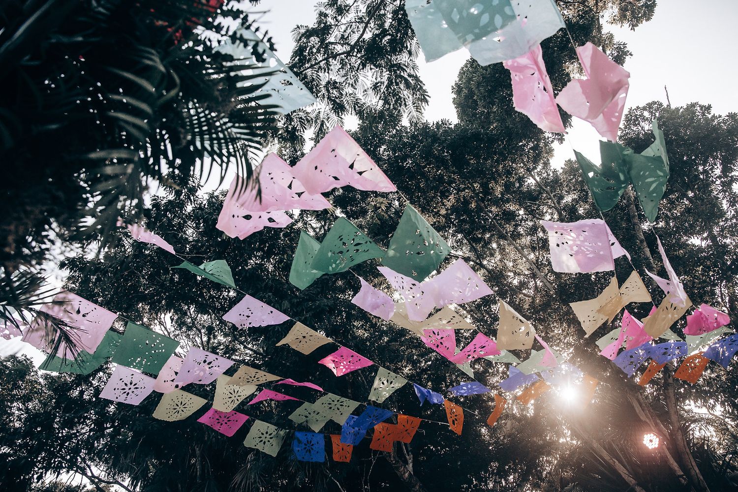 Colorful papel picado banners hang between trees with sunlight streaming through the foliage in a garden setting.