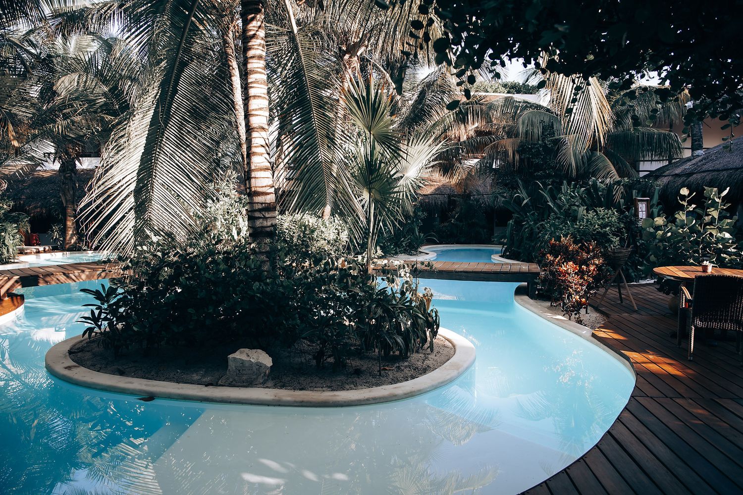A tropical outdoor pool area with palm trees, surrounded by a wooden deck and lush foliage.