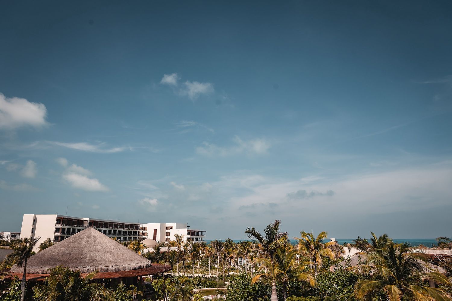 Tropical resort with palm trees and white buildings under a blue sky near the ocean.