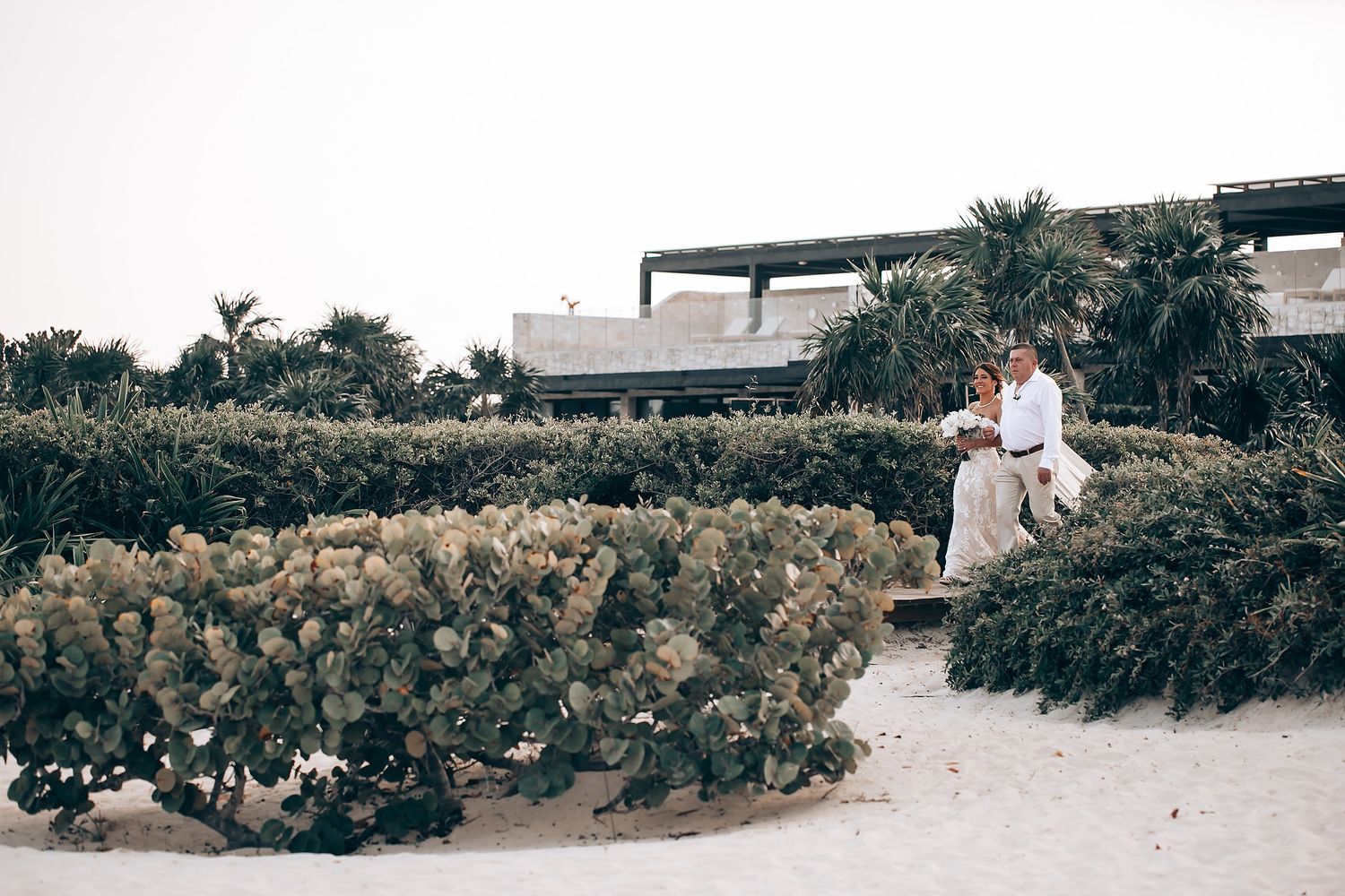 Panoramic view of a beachside wedding venue with palm trees and white decor.