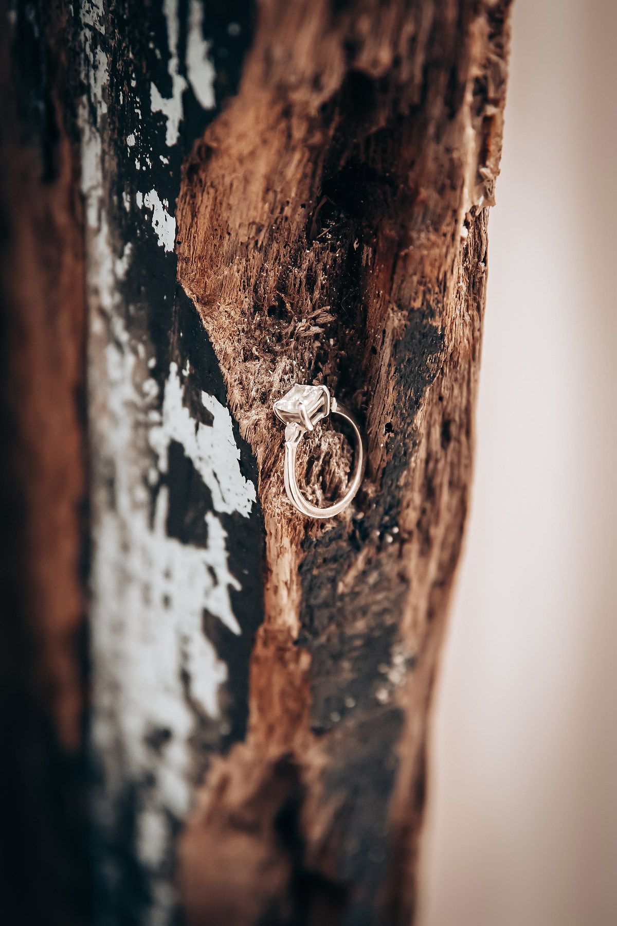 Close-up detail of rustic wooden rings with weathered texture and natural patina.
