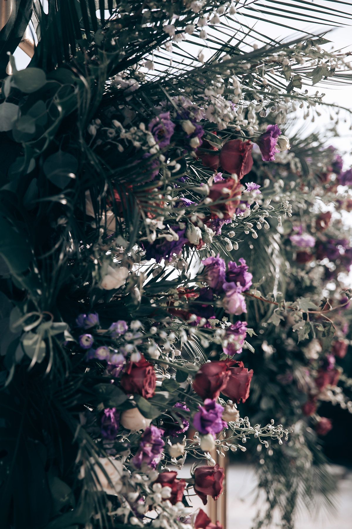 Purple and pink floral arrangements hanging from greenhouse ceiling.