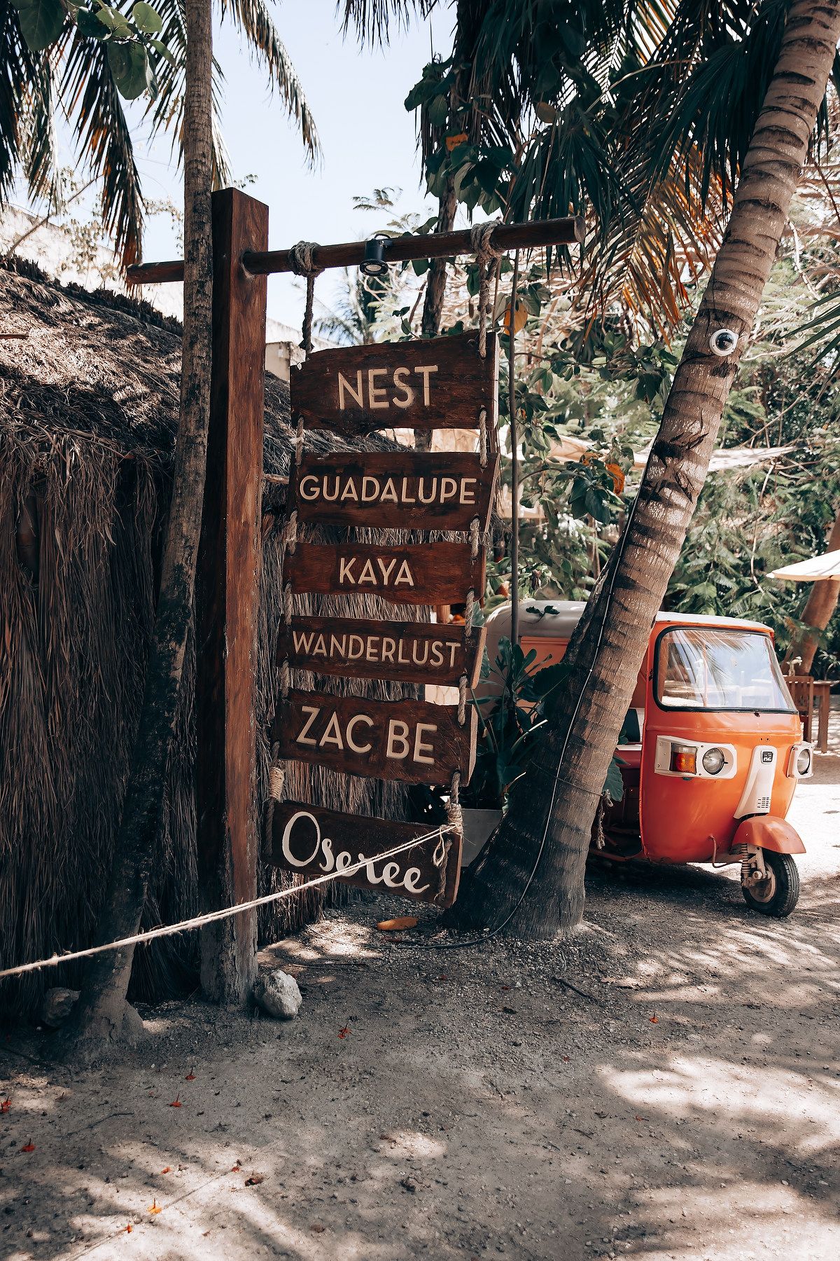 Wooden directional signs for beach accommodations including Guadalupe, Kaya, and Wanderlust nestled among palm trees.