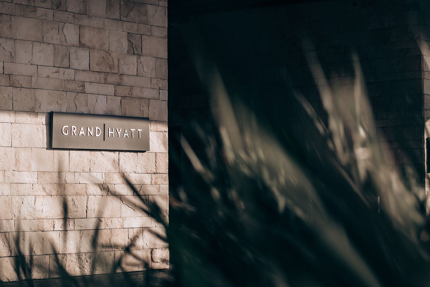 Grand Hyatt hotel sign mounted on stone wall with dramatic palm frond shadows.