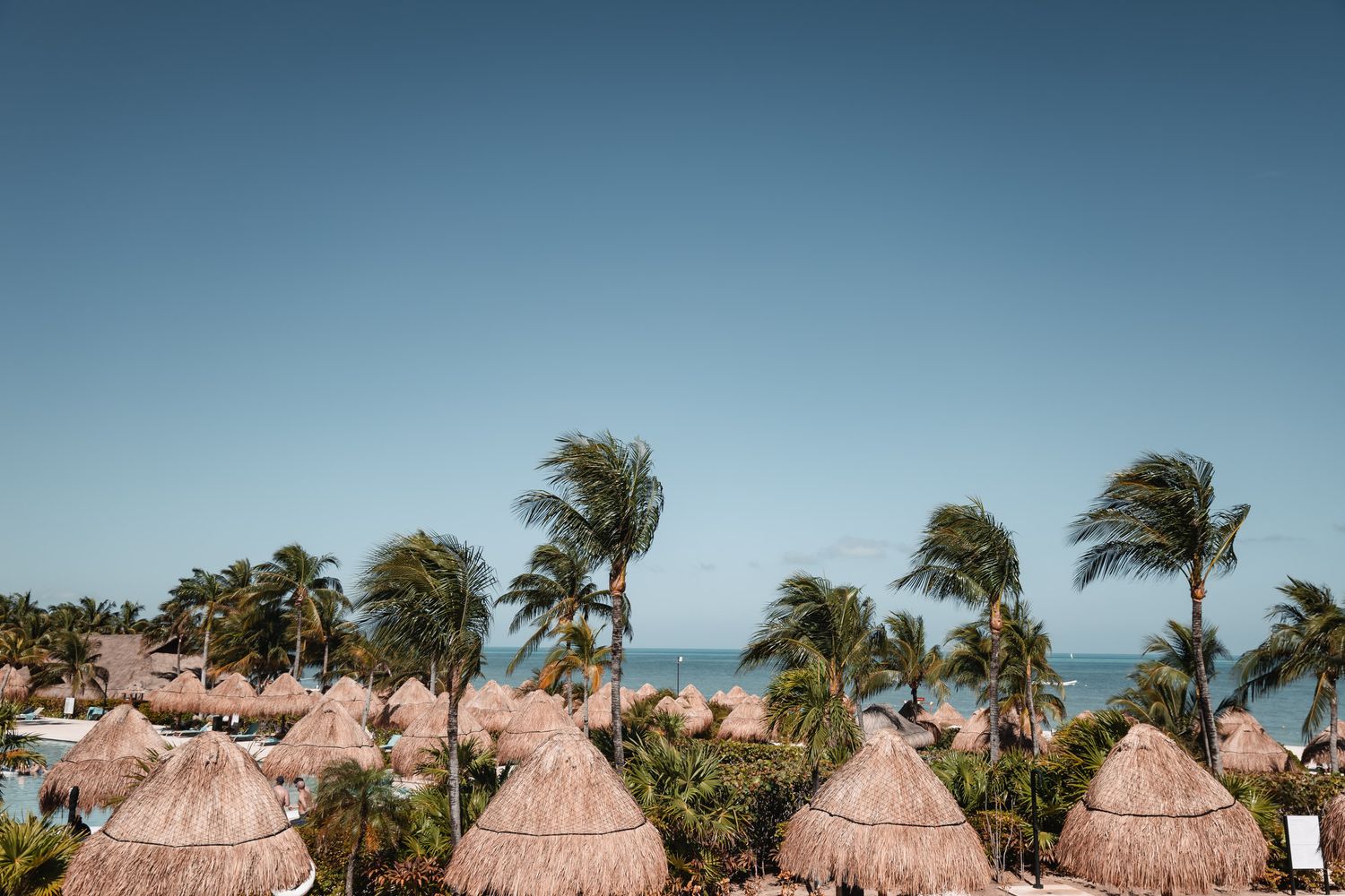 Tropical beach resort with thatched palapa umbrellas, swaying palm trees, and a clear blue sky overlooking the ocean.