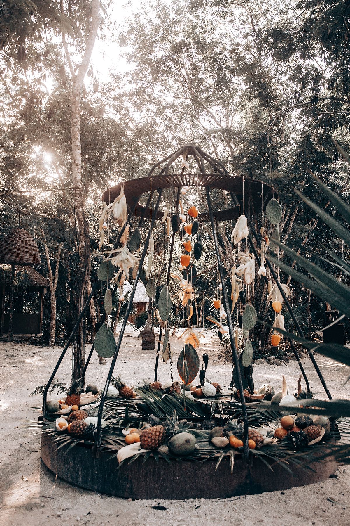 Rustic outdoor display with hanging pumpkins and gourds arranged in a circular formation among trees.